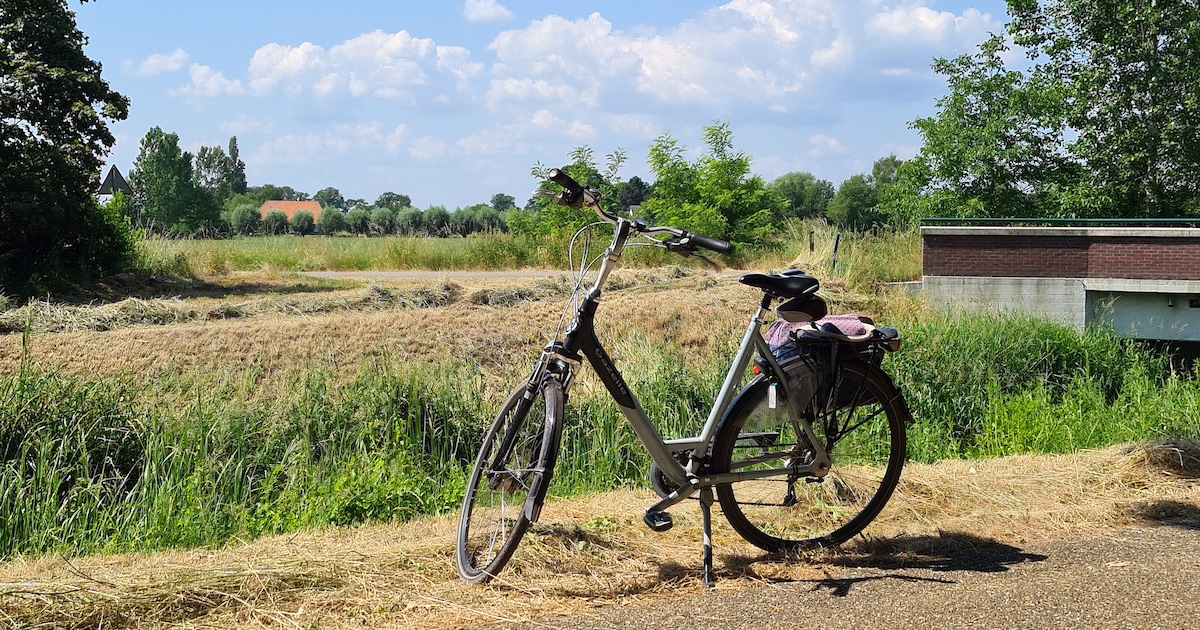 Fietsweekend in Varsseveld biedt routes door Achterhoek
