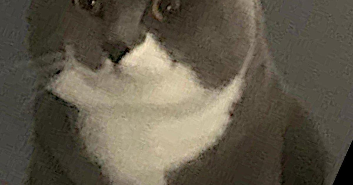 Heb jij Milo of Charlie gezien? Deze twee huisdieren worden in Rhenen vermist