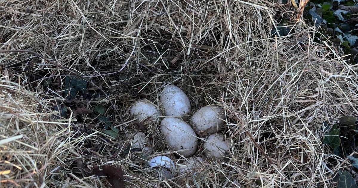 Dit stuurden jullie in: Voorjaar in Luttenberg • Doe mee met Dynamic Tennis SV Twello