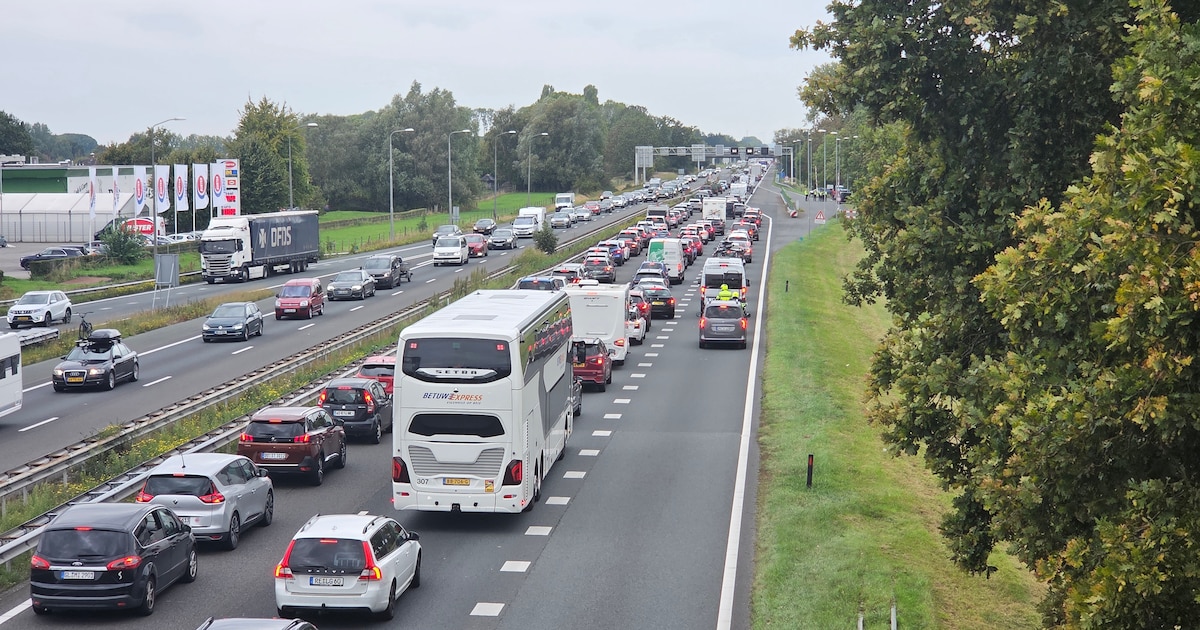 Flinke files in beide richtingen op A12 door ongeluk en kapotte vrachtwagen.