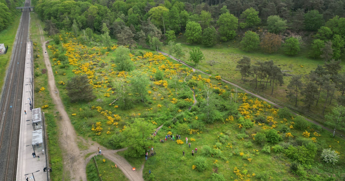 ‘Heel belangrijk moment’ voor dit gebied in Mook: het blijft namelijk natuur. En toch levert dat wri