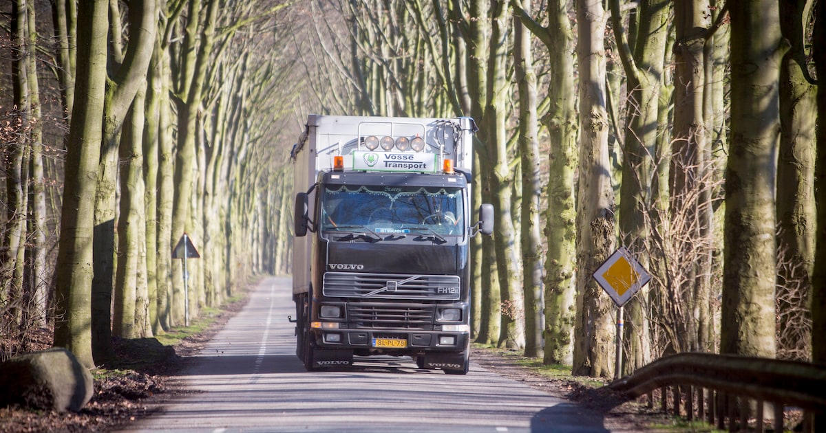 Raad trapt op de rem: Geen uitbreiding Hooijer zonder ‘juridische munitie’