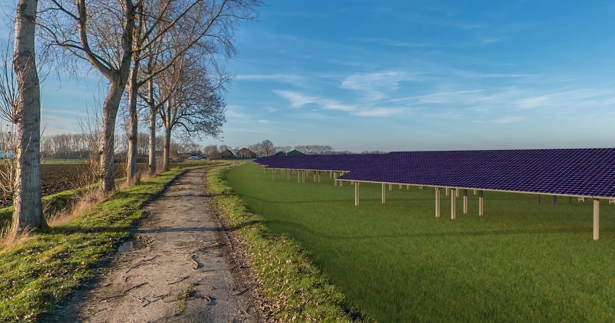 Nog meer panelen: Hernen wordt het zonnedorp van Maas en Waal