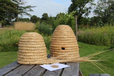 Kunst- en tuinenroute in Slangenburg voert langs kunstenaars en tuinen