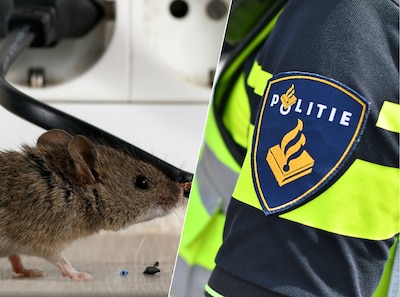 Man wil al vijf jaar deur niet opendoen, dan wordt duidelijk waarom: agent treft mensonterende situatie