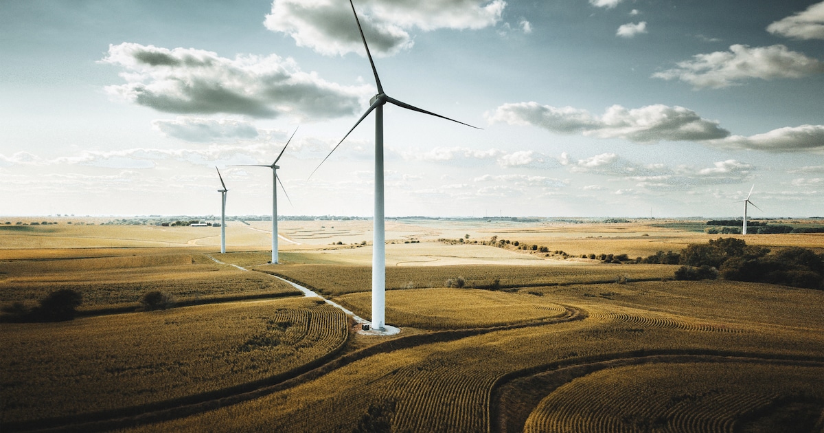Provincie zoekt mensen die mee willen denken over wind- en zonnepark in Bergeijk