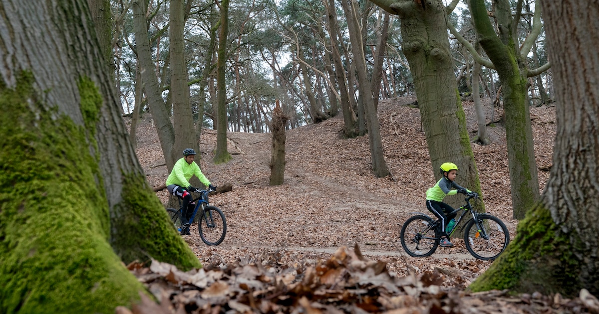 Mountainbikers zijn niet meer welkom in het bos, lezers reageren verdeeld: ‘Onzin, Nederland heeft g