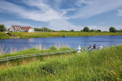 Maatregelen tegen verontreiniging Maas zijn niet toereikend, blijkt uit rapport drinkwaterbedrijven