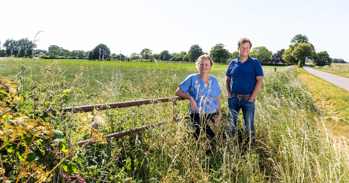 Doesburg zet toch streep door komst zonneweiden: ‘Over zes jaar ...
