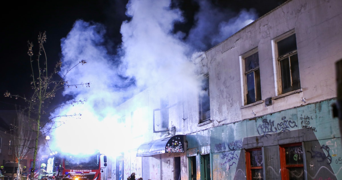 Zeer grote brand in centrum van Nijmegen: brandweer redt twee honden