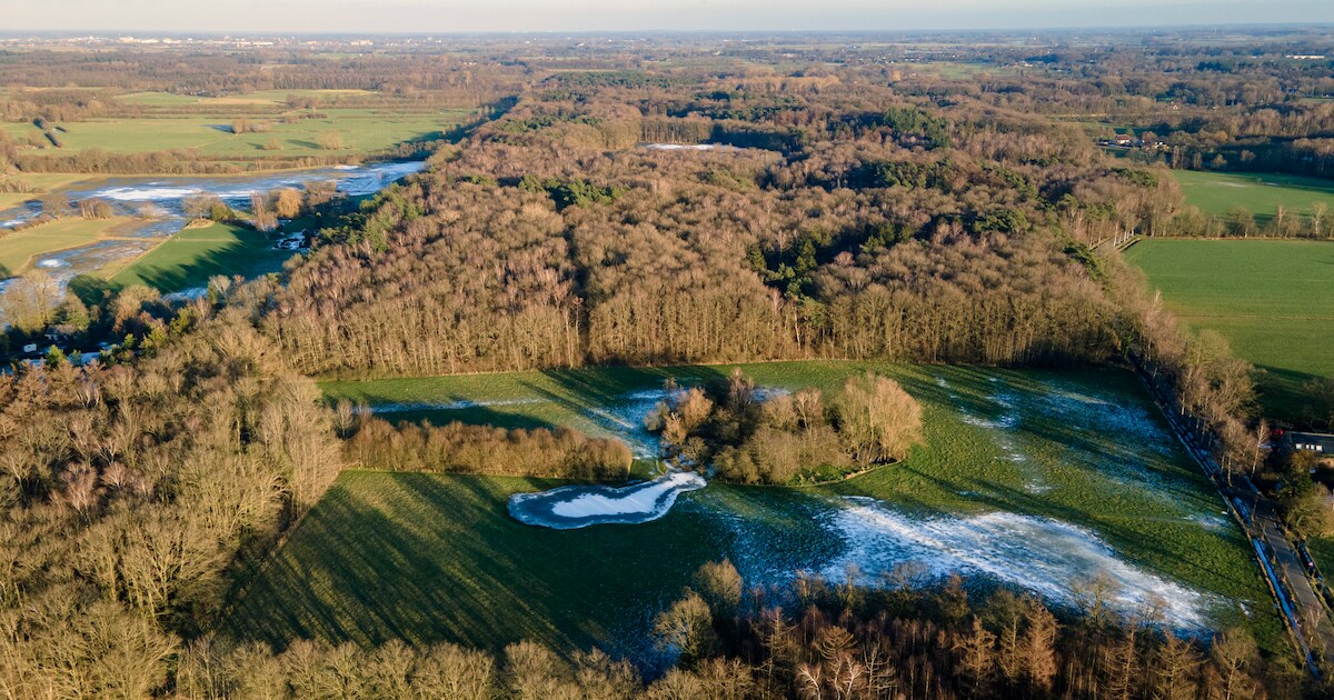 Miljoenenproject voor bestrijden van droogte in Brummen flopt: ‘Te ...