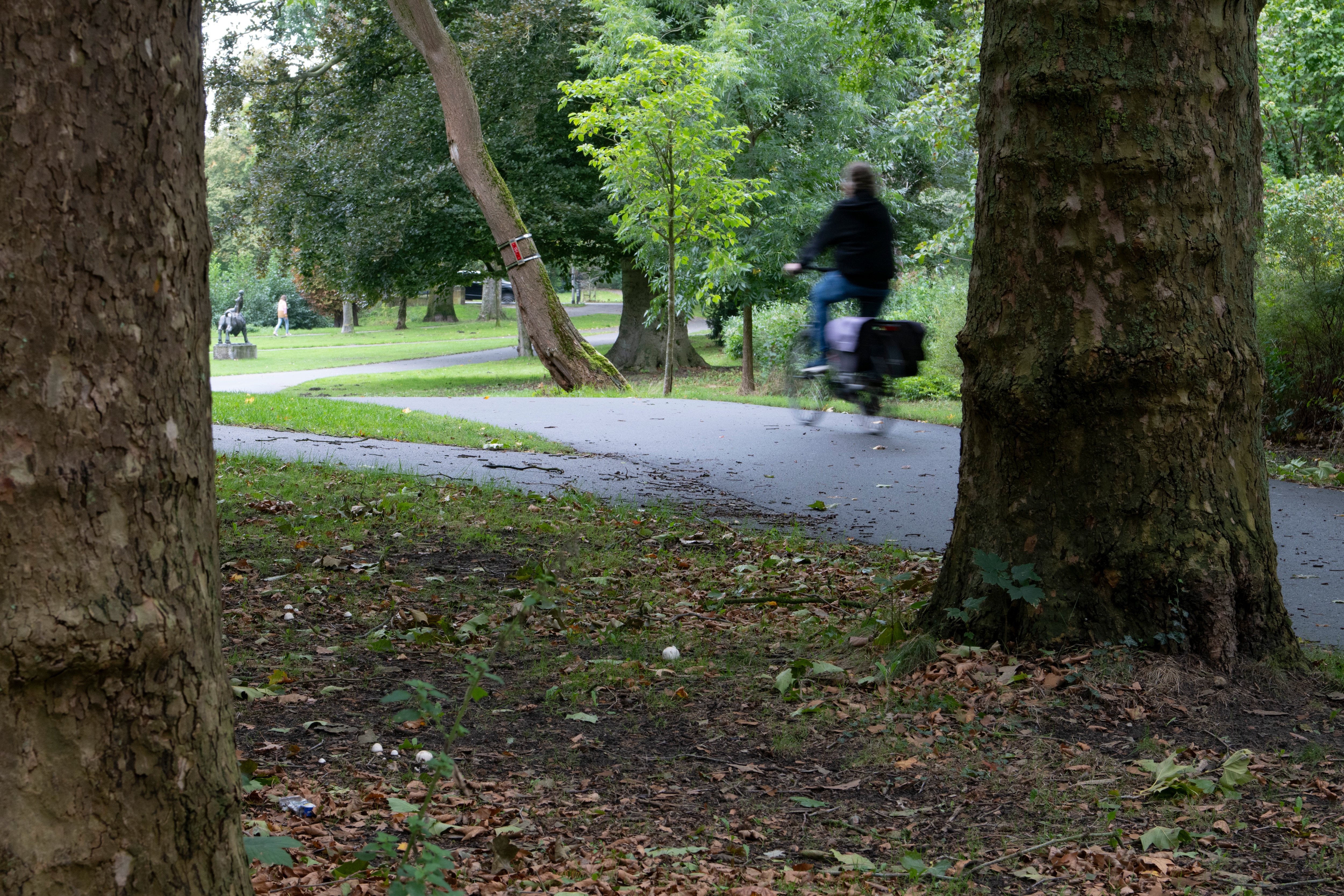 Waarom dit park bij station Deventer dieprood kleurt op veiligheidskaart: ‘Verlichting en zicht spel