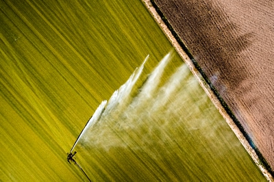 Waterschap zag afgelopen week watervraag toenemen: ‘Agrariërs hebben al extra beregend’