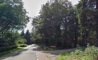 Man aangehouden in verband met gewonde vrouw in bos bij Overberg, ook verdacht van brandstichting bi