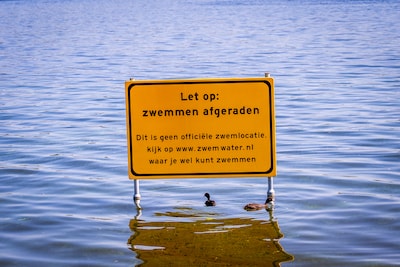 Al het zwemwater in Nederland is vervuild met chemische stoffen, blijkt uit onderzoek: ‘Overheid grijpt niet in’