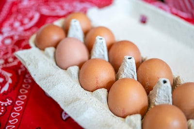 Grootste salmonella-uitbraak ooit in België, besmette eieren ook in Nederland verkocht