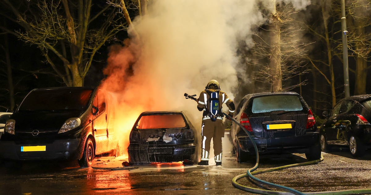 Drie auto's beschadigd door brand in Zeist