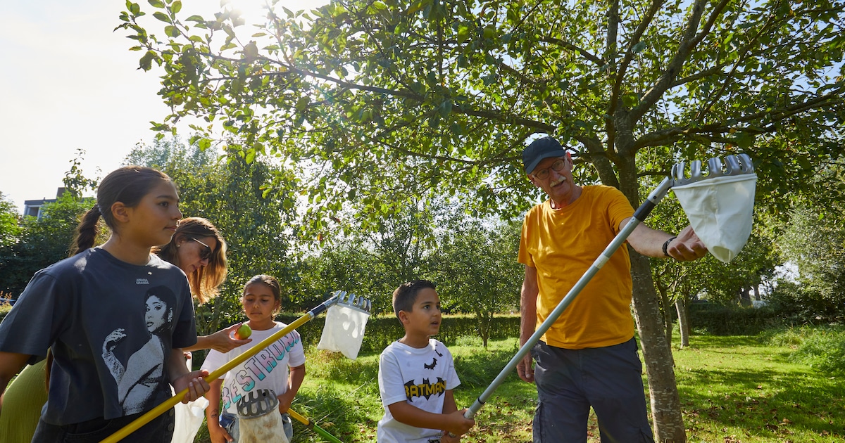 Nieuw mini-festival moet Zutphense Zuidwijken ‘kleiner’ maken: ‘Dit feest is nodig voor onze buurt’