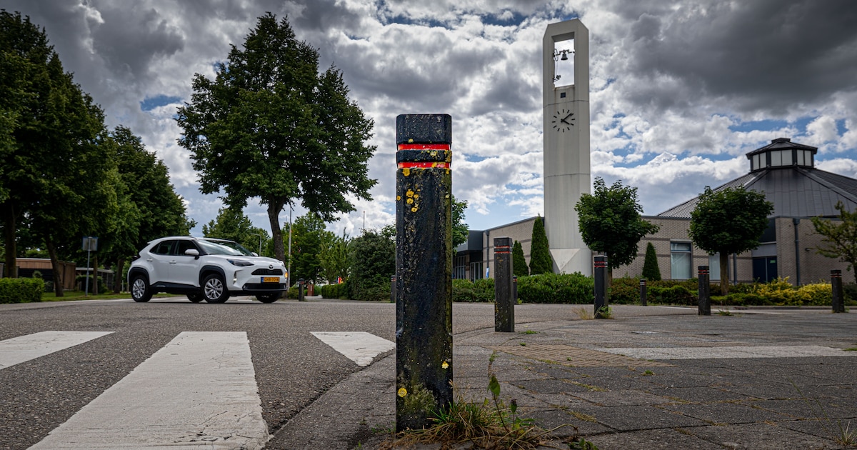 Stoeppalen beschermen een laadpaal in Zwolle. © eigen foto