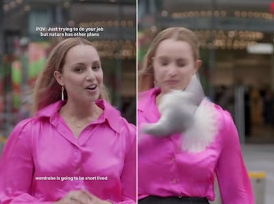 Vogel vliegt in gezicht van verslaggever terwijl ze reportage opneemt