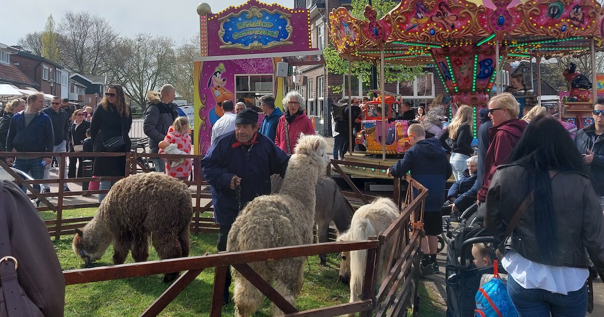 Braderie in Hengelo ligt onder vuur: ‘Dieren staan in de pokkenherrie, meteen verbieden’