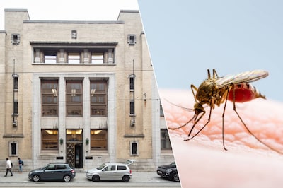 Twee werknemers van luchthaven Frankfurt overleden aan malaria: ‘Muggen waren met vliegtuig meegereisd’