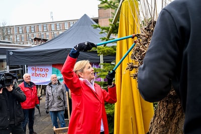 Máxima en Willem-Alexander frissen tuinen op voor NLdoet: ‘Even aan de kant, majesteit’