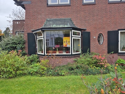 Gespot: dit is waarom je overal in Ede oranje posters ziet hangen