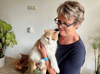 Oranje kater Schimanski stevent af op wereldrecord: ‘33 jaar?! Dat kan toch niet?’