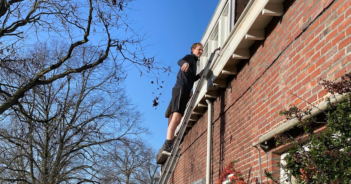 WOZ-waarde in Renswoude sinds 2023 niet zó hard gestegen