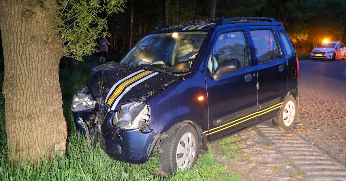 Automobilist ramt boom langs Leemweg in Terschuur | Barneveld