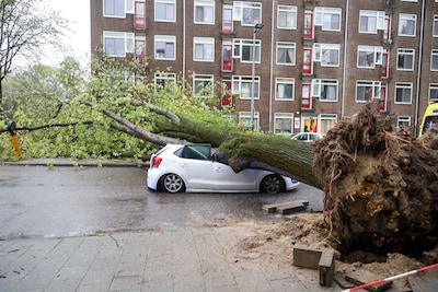 Boom valt op rijdende auto in centrum Amsterdam, bestuurder heeft engeltje op zijn schouder