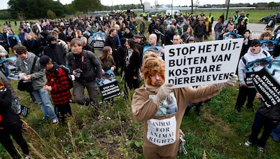 Nederland voorlopig door met dierproeven op apen, minister wil in 2030 wel onderzoek naar noodzaak