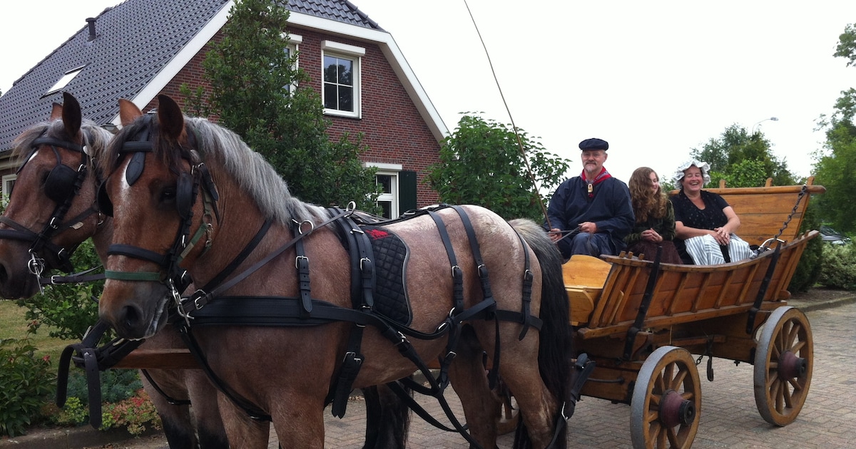 Stoet paarden door Bergharen