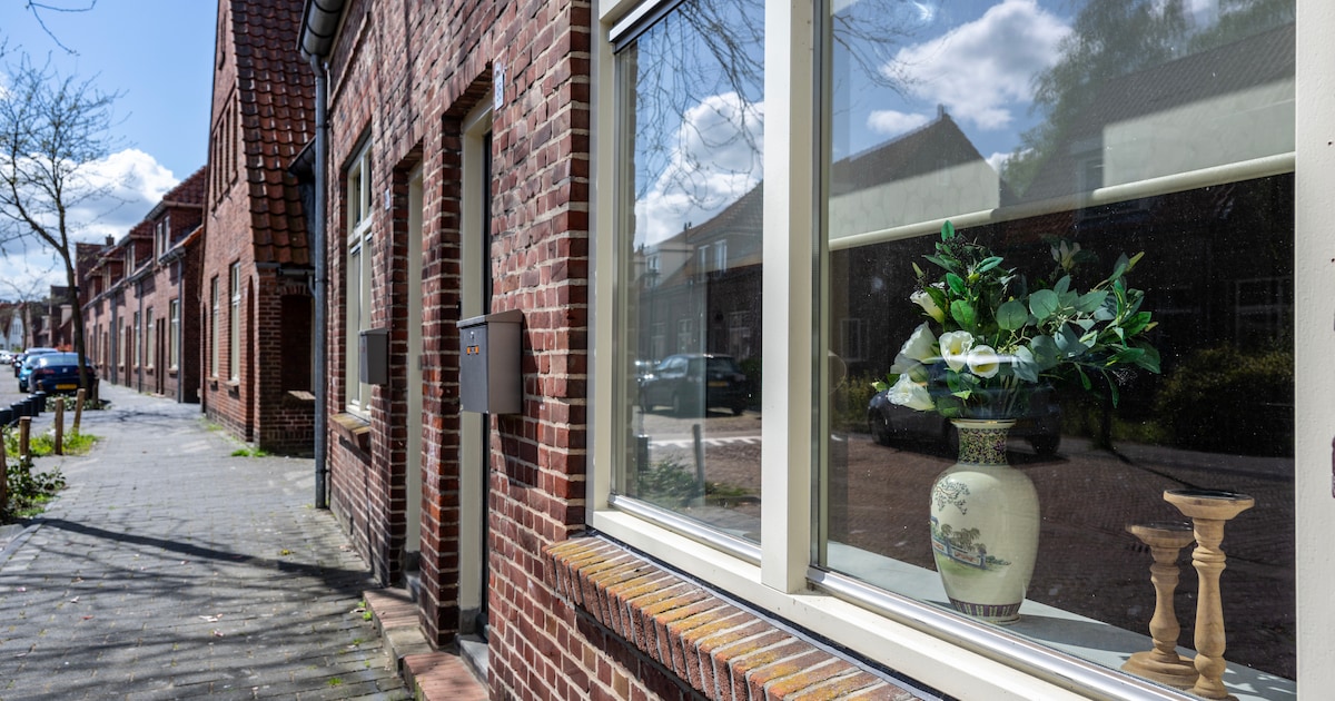 Sloopwijk opgeleukt met plantje voor de ramen: nog steeds leeg, maar minder unheimisch