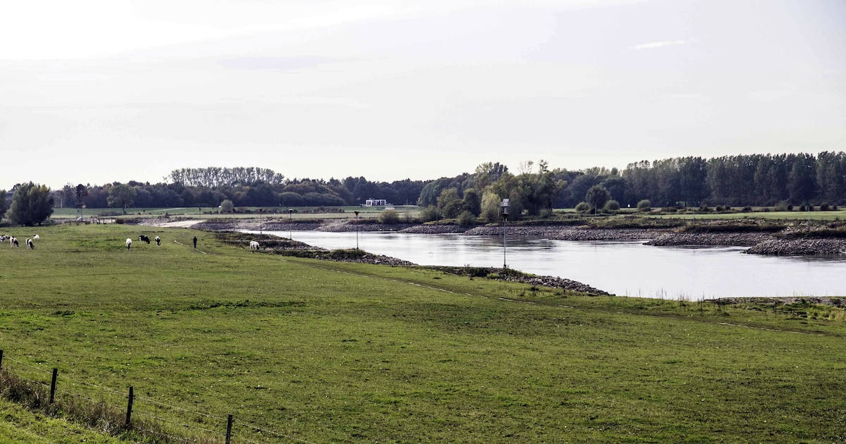 IVN organiseert fietsexcursie langs de IJssel