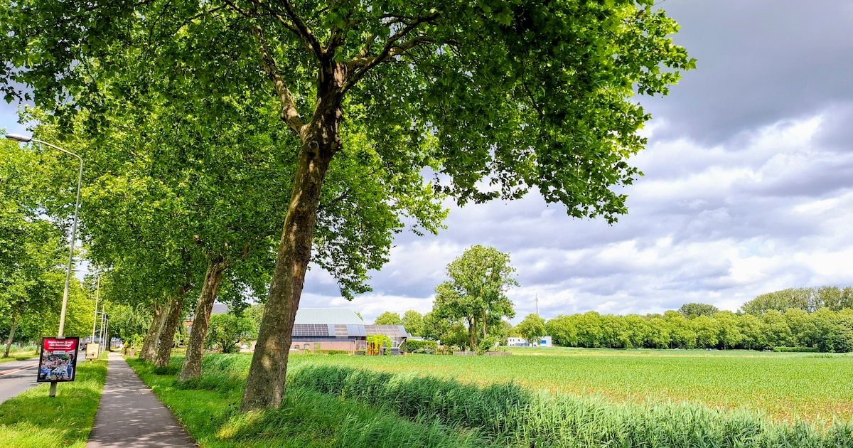 Nieuwe wijk Druten onzeker door aanwezigheid geitenhouderij