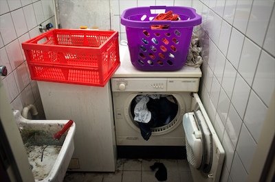 Oss vermoedt te veel arbeidsmigranten bij varkensboer en eist duizenden euro’s