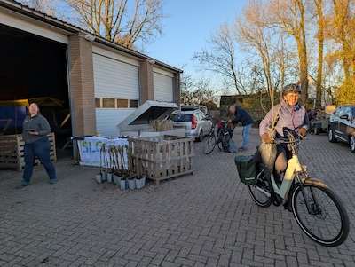 Succesvolle Duivense plantenactie voor bijen en vlinders nu ook in Westervoort