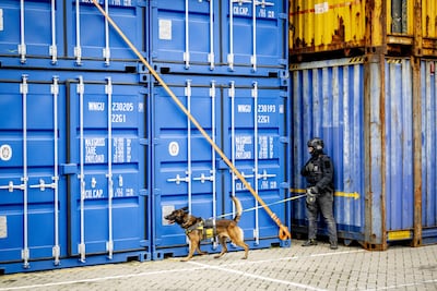 Douane vindt honderden kilo’s cocaïne tussen mango’s in haven Rotterdam