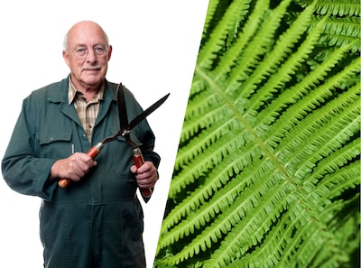 Varens hebben geen bloemen nodig om mooi te zijn