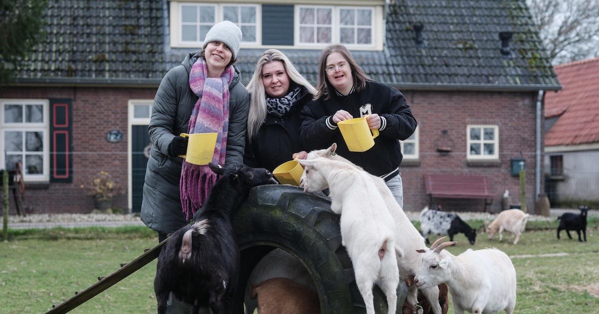 Op zorgboerderij de Ooijsebrug in Groessen is het leven goed; mogelijk kunnen mensen er zelfs gaan w