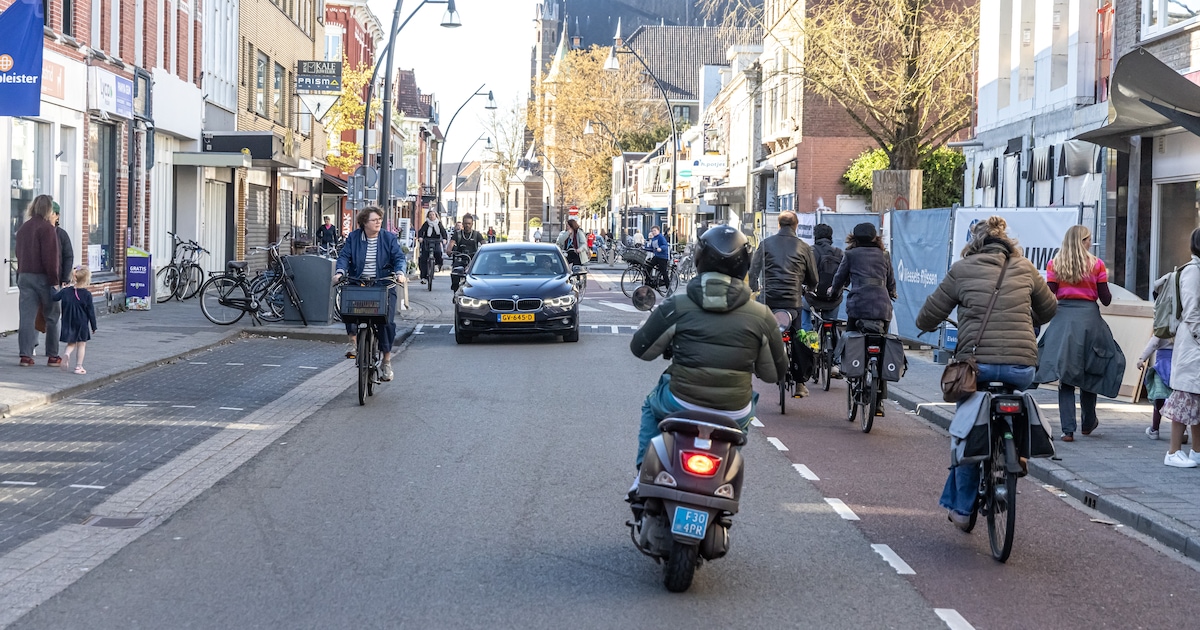 Lezers verdeeld over vergroening Zwolse winkelstraat: van ‘zeer uitnodigend’ tot ‘Zwolle haat bezoek