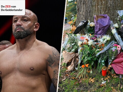 Vladimir Tok 264717727 / De bloemenzee bij de rotonde in Velp 264740627

