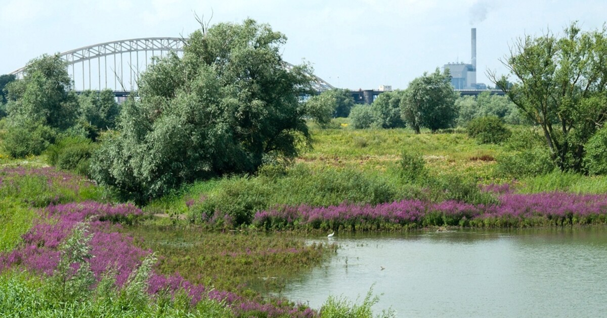 Pastoor Van Mil verlaat de polder