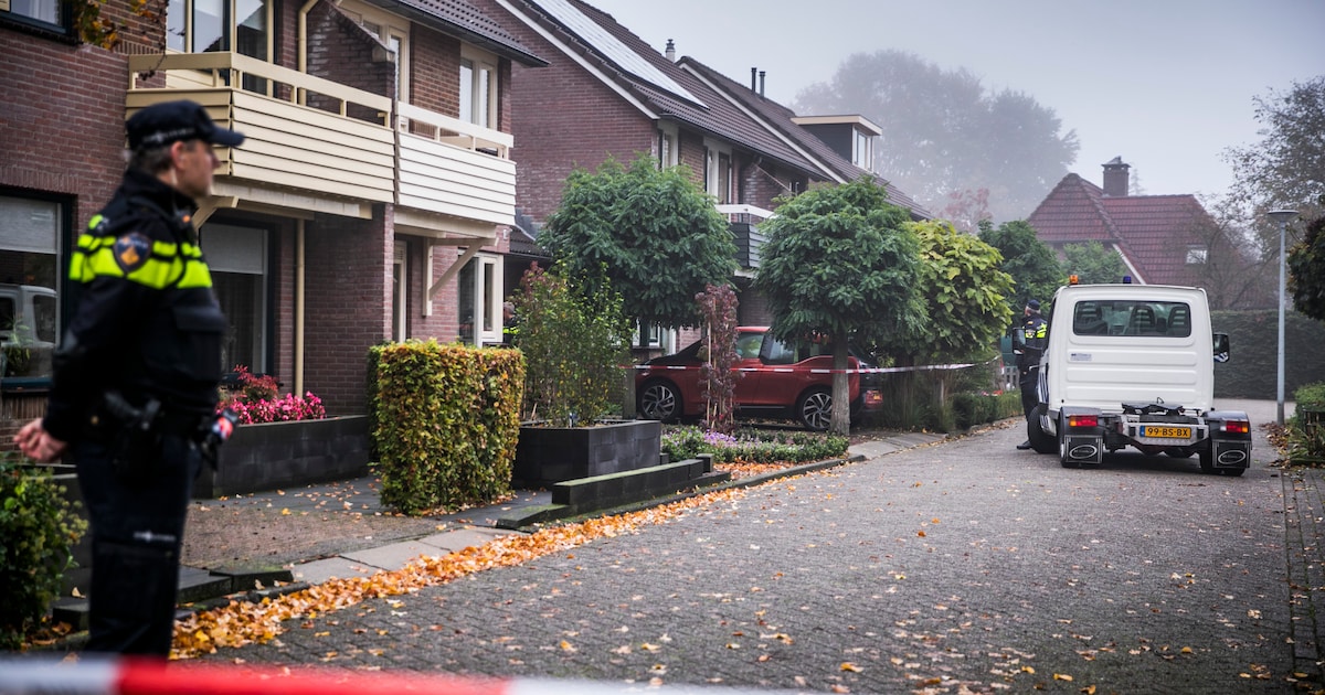 tbs-verlengd-na-doden-van-ouders-tijdens-psychose-noodzakelijk