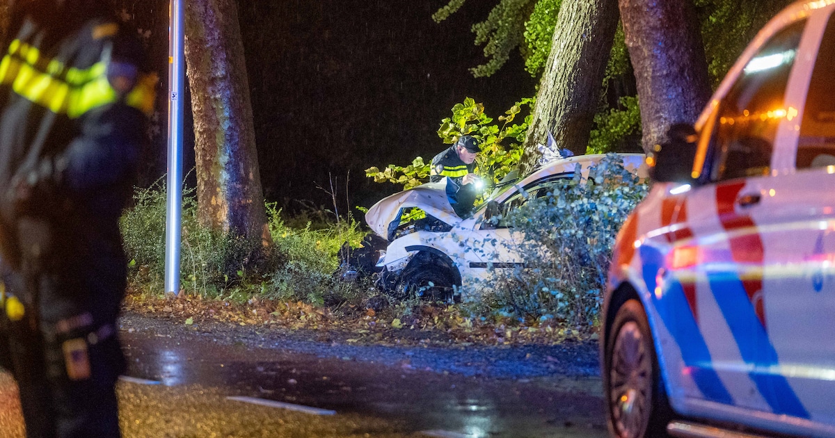Bestelbus vliegt uit beruchte bocht in Zutphen en klapt tegen boom
