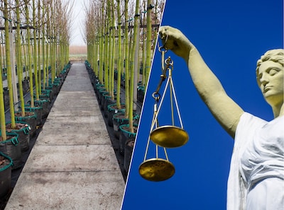 Hoe een goedgekeurd middel toch van de markt wordt gehaald: vijf vragen over schimmelbestrijder Pitc