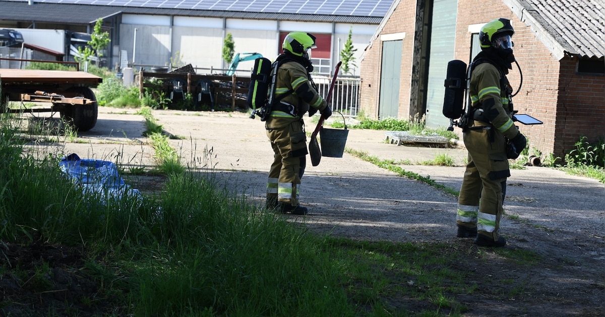 Brandweer rukt uit voor ‘explosief’ in paardenstal