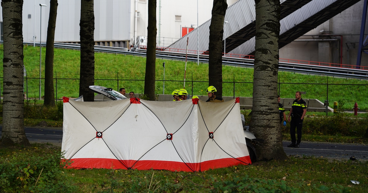 Automobilist overleden na botsing met boom in Weurt.